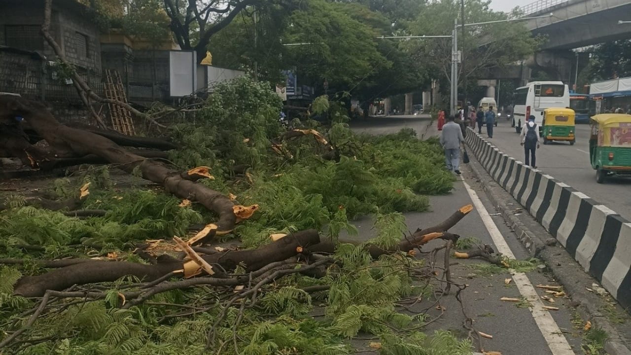 Bengaluru Traffic Advisory: ಬೆಂಗಳೂರಿನ ಅನೇಕ ರಸ್ತೆಗಳಲ್ಲಿ ಇಂದೂ ಸಂಚಾರಕ್ಕೆ ಅಡಚಣೆ, ಇಲ್ಲಿದೆ ಮಾಹಿತಿ Bengaluru Traffic Advisory: ಬೆಂಗಳೂರಿನ ಅನೇಕ ರಸ್ತೆಗಳಲ್ಲಿ ಇಂದೂ ಸಂಚಾರಕ್ಕೆ ಅಡಚಣೆ, ಇಲ್ಲಿದೆ ಮಾಹಿತಿ