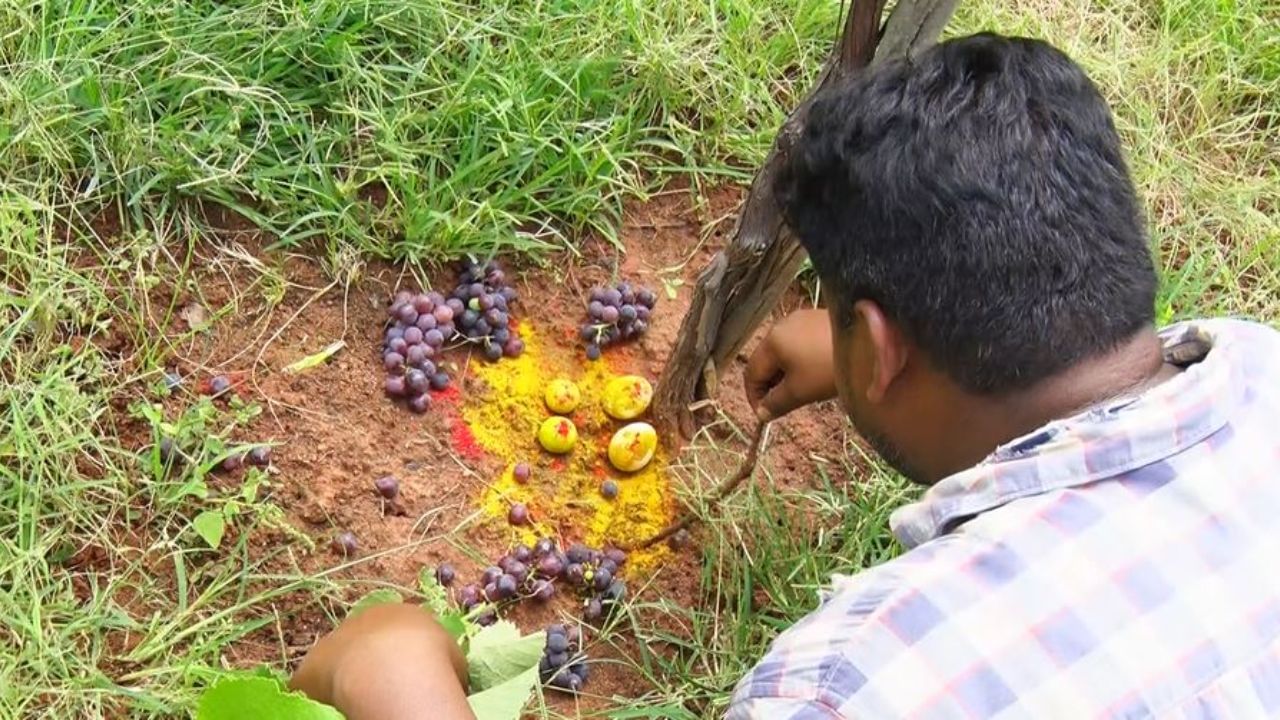 ತೋಟಕ್ಕೆ ಮಾಡಿದ ಮಾಟಮಂತ್ರದಿಂದ ರೈತ ಭಯಭೀತನಾಗಿದ್ದು, ದುಷ್ಕರ್ಮಿಗಳ ಪತ್ತೆಗೆ
ನಂದಿ ಗಿರಿಧಾಮ ಪೋಲಿಸ್ ಠಾಣೆಗೆ ದೂರು ನೀಡಿದ್ದಾರೆ.