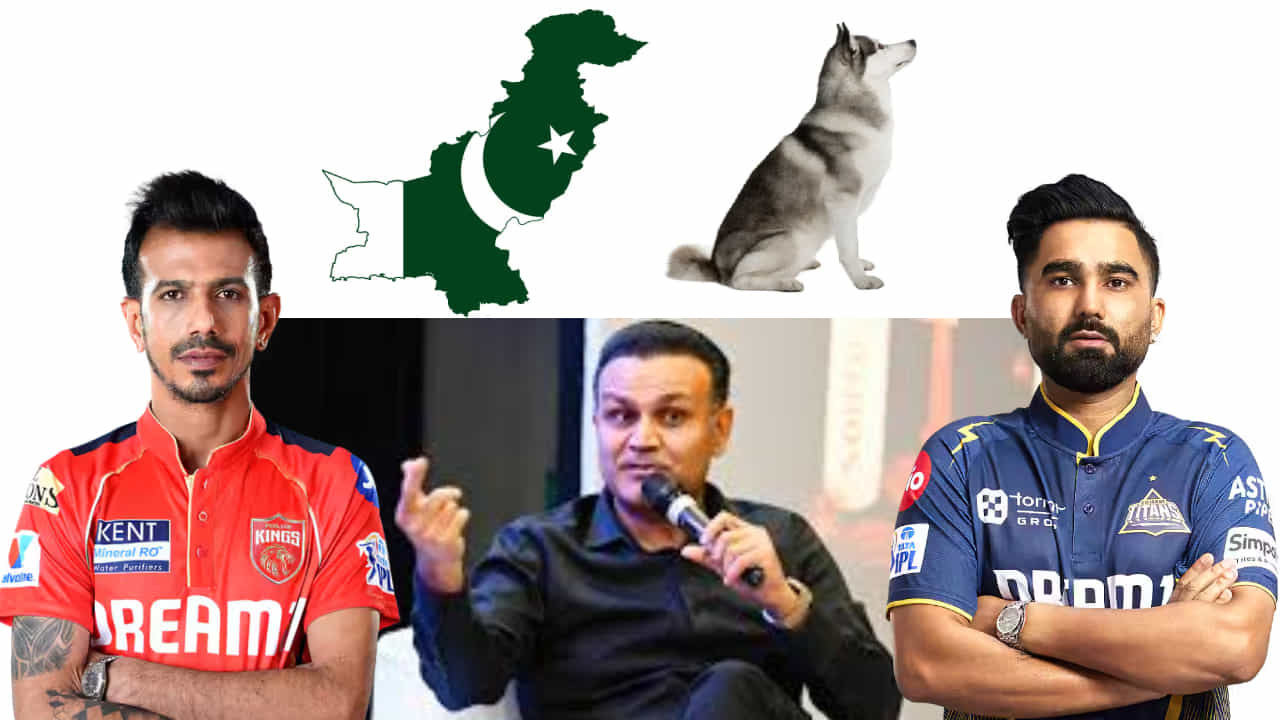ನಾಯಿ ಬಾಲ ಯಾವತ್ತಿದ್ರೂ ಡೊಂಕು... ಪಾಕ್ ವಿರುದ್ಧ ಕ್ರಿಕೆಟಿಗರ ಆಕ್ರೋಶ