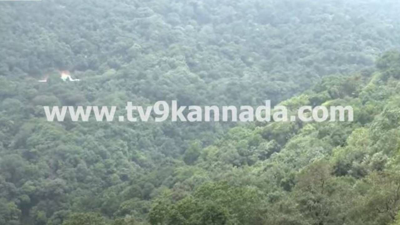 ಪಶ್ಚಿಮ ಘಟ್ಟದ ಮೂಲಕ ಹಾದು ಹೋಗುವ ಚಾರ್ಮಾಡಿ ಘಾಟ್ ರಸ್ತೆಯಲ್ಲಿ ಭೀತಿ ಮತ್ತು ಆತಂಕದ ಛಾಯೆ