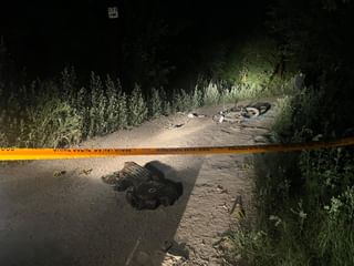 Operation Chakra V: ಸೈಬರ್ ಅಪರಾಧಿಗಳ  ವಿರುದ್ಧ 19 ಕಡೆ ಸಿಬಿಐ ಕಾರ್ಯಾಚರಣೆ, 6 ಮಂದಿ ಬಂಧನ