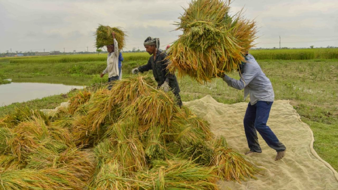 ರೈತರಿಗೆ ಖುಷಿ ಸುದ್ದಿ; 14 ಬೆಳೆಗಳ ಕನಿಷ್ಠ ಬೆಂಬಲ ಹೆಚ್ಚಳಕ್ಕೆ ಕೇಂದ್ರ ಸಂಪುಟ ಒಪ್ಪಿಗೆ ರೈತರಿಗೆ ಖುಷಿ ಸುದ್ದಿ; 14 ಬೆಳೆಗಳ ಕನಿಷ್ಠ ಬೆಂಬಲ ಹೆಚ್ಚಳಕ್ಕೆ ಕೇಂದ್ರ ಸಂಪುಟ ಒಪ್ಪಿಗೆ