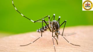 ರಾಜ್ಯದ ನೂತನ ಪೊಲೀಸ್ ಮಹಾನಿರ್ದೇಶಕರಾಗಿ ಕನ್ನಡಿಗ ಡಾ. ಎಂ ಎ ಸಲೀಂ ನೇಮಕ