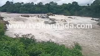 VIDEO: ಜಿತೇಶ್​ನ ಹಿಡಿಯುವವರು ಯಾರು? ತಡೆಯುವವರು ಯಾರು?