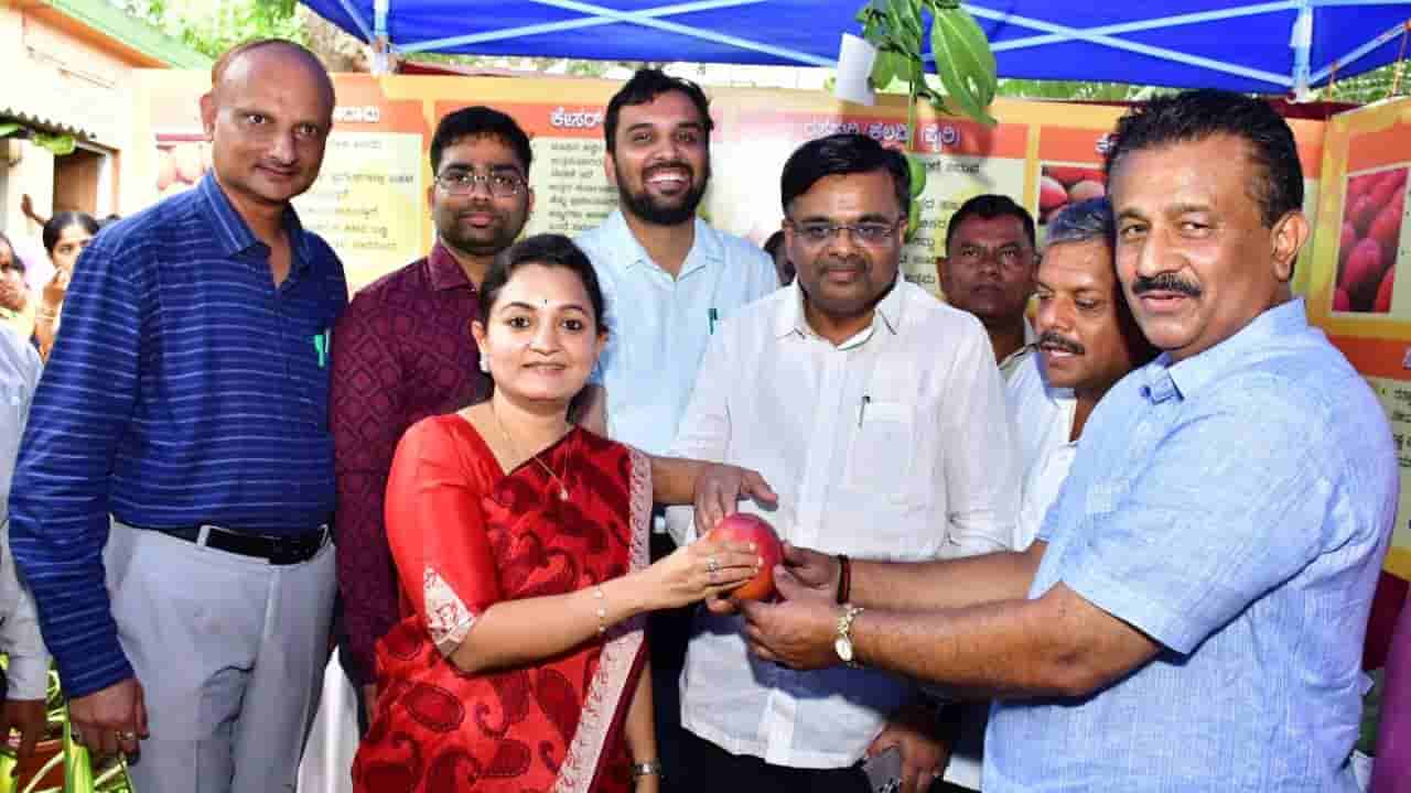 ಜಸ್ಟ್​ ಸಿಂಗಲ್​​ ಮಾವಿನ ಹಣ್ಣಿಗೆ 10 ಸಾವಿರ ರೂ.: ಇದು ಕರ್ನಾಟಕದಲ್ಲೇ ಬೆಳೆದ ತಳಿ ಯಾವುದು ಗೊತ್ತಾ?