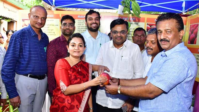 ಜಸ್ಟ್ ಸಿಂಗಲ್ ಮಾವಿನ ಹಣ್ಣಿಗೆ 10 ಸಾವಿರ ರೂ.: ಇದು ಕರ್ನಾಟಕದಲ್ಲೇ ಬೆಳೆದ ತಳಿ ಯಾವುದು ಗೊತ್ತಾ?