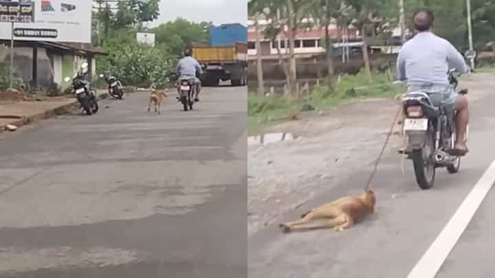 ಉಡುಪಿ: ಬೈಕ್ಗೆ ನಾಯಿ ಕಟ್ಟಿ ಎಳೆದೊಯ್ದ ವ್ಯಕ್ತಿ, ವಿಡಿಯೋ ವೈರಲ್, ಸಾರ್ವಜನಿಕರಿಂದ ಆಕ್ರೋಶ ಉಡುಪಿ: ಬೈಕ್ಗೆ ನಾಯಿ ಕಟ್ಟಿ ಎಳೆದೊಯ್ದ ವ್ಯಕ್ತಿ, ವಿಡಿಯೋ ವೈರಲ್, ಸಾರ್ವಜನಿಕರಿಂದ ಆಕ್ರೋಶ