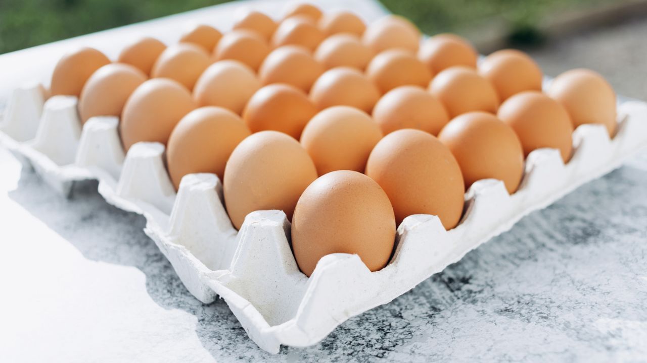 ಬೇಸಿಗೆಯಲ್ಲಿ ಮೊಟ್ಟೆ ಸೇವನೆ ಬೇಡ, ಅಪ್ಪಿತಪ್ಪಿಯೂ ಈ ಸಮಸ್ಯೆ ಇರುವವರು ತಿನ್ನಲೇಬೇಡಿ