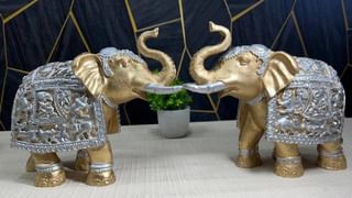 ಪ್ರತಿದಿನ ಹಸುವಿಗೆ ಆಹಾರ ನೀಡುವುದರಿಂದ ಆಗುವ ಆಧ್ಯಾತ್ಮಿಕ ಮತ್ತು ವೈಜ್ಞಾನಿಕ ಪ್ರಯೋಜನ