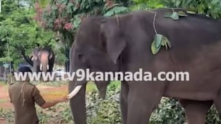 IPL 2025: ವೈಭವೋಪೇತ ದಾಖಲೆ ಬರೆದ ವೈಭವ್