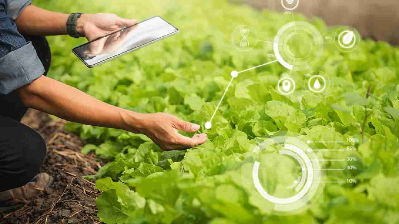 Apply Now: ಮಂಡ್ಯದ ರೈತರ ಕೃಷಿ ಉತ್ಪನ್ನ ಮಾರಾಟ ಸಹಕಾರ ಸಂಘದಲ್ಲಿ ವಿವಿಧ ಹುದ್ದೆಗಳಿಗೆ ನೇಮಕಾತಿ