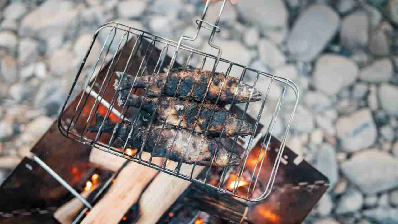 ಈ 3 ಮೀನುಗಳು ಉಚಿತವಾಗಿ ಸಿಕ್ಕರು ತಿನ್ನಬೇಡಿ! ಆರೋಗ್ಯ ಹಾಳಾಗುತ್ತೆ