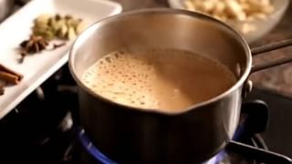 World Turtle Day 2025: ಪರಿಸರ ವ್ಯವಸ್ಥೆಯನ್ನು ಸ್ಥಿರವಾಗಿಡುವಲ್ಲಿ ಆಮೆಗಳ ಪಾತ್ರ ಅಪಾರ; ವಿಶ್ವ ಆಮೆ ದಿನದ ಮಹತ್ವ