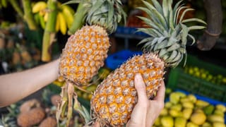 Pitta Dosha: ದೇಹದಲ್ಲಿ ಪಿತ್ತದೋಷ ಹೆಚ್ಚಲು ಏನು ಕಾರಣ? ಕಡಿಮೆ ಮಾಡಲು ಪತಂಜಲಿ ವಿಧಾನ