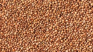 ಪತಂಜಲಿ ದಂತಕಾಂತಿ ಇತರ ಟೂತ್​​ಪೇಸ್ಟ್​​ಗಳಿಗಿಂತ ಹೇಗೆ ವಿಭಿನ್ನ? ಇದರ ಜನಪ್ರಿಯತೆಗೆ ಇಲ್ಲಿವೆ ಕಾರಣಗಳು…