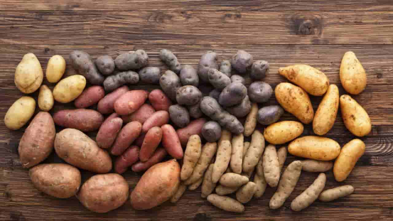 International Potato Day 2025: ಆಲೂಗಡ್ಡೆ ಪ್ರಿಯರೇ… ಅಂತಾರಾಷ್ಟ್ರೀಯ ಆಲೂಗಡ್ಡೆ ದಿನವನ್ನು ಏಕೆ ಆಚರಿಸಲಾಗುತ್ತದೆ ಗೊತ್ತಾ?