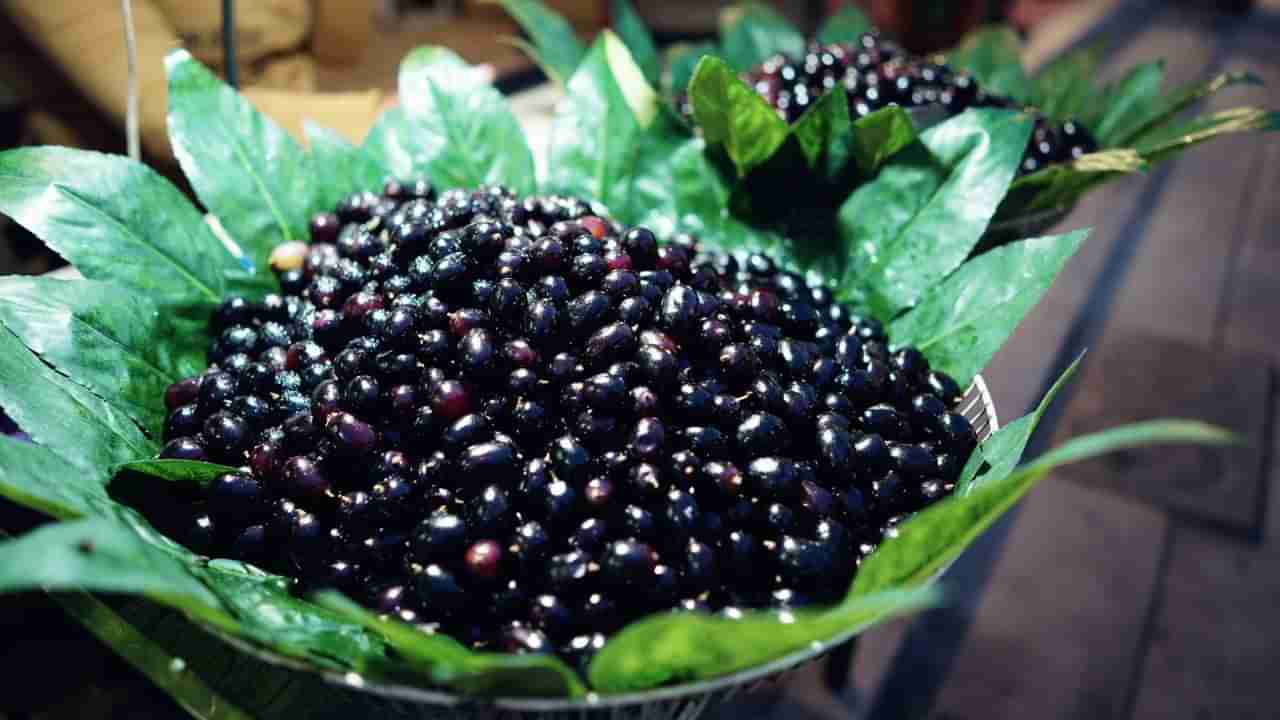 ನೇರಳೆ ಹಣ್ಣು ತಿಂದು ಅದರ ಬೀಜ ಎಸೆಯುವ ಮೊದಲು ಅದರ ಉಪಯೋಗ ತಿಳಿಯಿರಿ