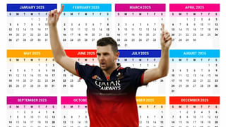IPL 2025: ಐಪಿಎಲ್ ಪ್ಲೇಆಫ್​ಗೆ 4 ತಂಡಗಳು ಫೈನಲ್