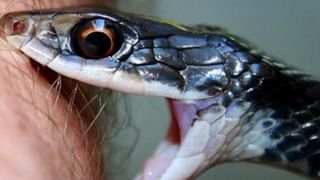 Personality Test : ನಿಮ್ಮ ಅಂಗೈ ಬಣ್ಣ ಕೆಂಪಾಗಿದ್ದರೆ ನಿಮ್ಮ ವ್ಯಕ್ತಿತ್ವ ಹೀಗಿರುತ್ತೆ