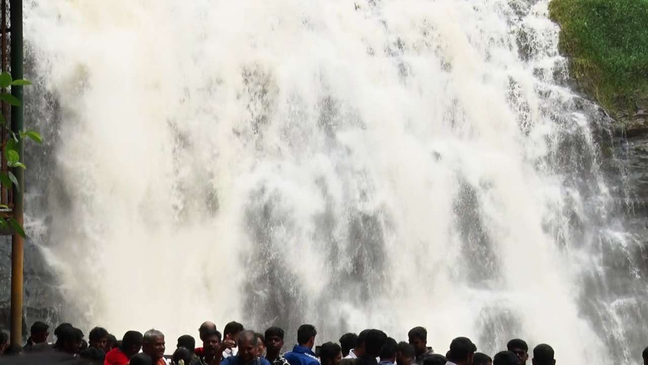  ಮಳೆಯ ಅಬ್ಬರದಿಂದ ಜಿಲ್ಲೆಯ ಮಲ್ಲಳ್ಳಿ, ಅಬ್ಬಿ, ಇರ್ಪು, ಚೇಲಾವರ ಜಲಪಾತಗಳು ಧುಮ್ಮುಕ್ಕುತ್ತಿವೆ. ಸಾಮಾನ್ಯವಾಗಿ ಜುಲೈ ಆಗಸ್ಟ್​ ತಿಂಗಳಲ್ಲಿ ಸಿಗುವ ಮಳೆಗಾಲದ ಅನುಭವ ಈ ಬಾರಿ ಪ್ರವಾಸಿಗರಿಗೆ ಮೇ ತಿಂಗಳಲ್ಲೇ ಸಿಗುತ್ತಿದೆ. ಹೀಗಾಗಿ ಜಿಲ್ಲೆಗೆ ಆಗಮಿಸಿರುವ ಪ್ರವಾಸಿಗರು ಖುಷಿಯಿಂದಲೇ ಒಳ್ಳೆಯ ಅನುಭವ ಪಡೆದು ಹಿಂದಿರುಗುತ್ತಿದ್ದಾರೆ. 