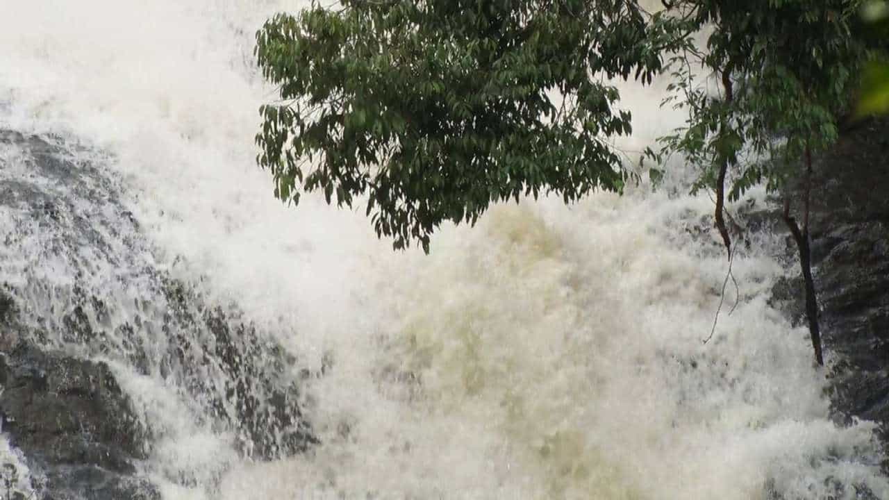 ಕೊಡಗು ಜಿಲ್ಲೆಯಲ್ಲಿ ಕಳೆದ 15-20 ದಿನಗಳಿಂದ ನಿರಂತರವಾಗಿ ಮಳೆಯಾಗುತ್ತಿತ್ತು. ಇದರಿಂದ ಅವಾಂತರಗಳು ಸೃಷ್ಟಿಯಾಗಿದ್ದವು. ಈ ನಡುವೆಯೇ ನಿರಂತರ ಮಳೆಯಿಂದ ಜಲಪಾತಗಳು ಮೈದುಂಬಿ ಹರಿಯುತ್ತಿದೆ. ಮೈದುಂಬಿ ಹರಿಯುತ್ತಿರು ಜಲಪಾತಗಳನ್ನು ವೀಕ್ಷಿಸಲು ಪ್ರವಾಸಿಗರ ದಂಡೇ ಹರಿದು ಬರುತ್ತಿದೆ. ಹಾಗಿದ್ದರೆ ಯಾವೆಲ್ಲ ಜಲಪಾತಗಳು ಧುಮ್ಮುಕ್ಕುತ್ತಿವೆ? ಇಲ್ಲಿದೆ ವಿವರ. ಇನ್ನು ಪ್ರವಾಸಿಗರು ಪ್ರವಾಸಿ ತಾಣಗಳಿಗೆ ಭೇಟಿ ನೀಡಿದಾಗ ಮುನ್ನ ಸರ್ಕಾರದ ಸೂಚನೆಗಳನ್ನು ಕಡ್ಡಾಯವಾಗಿ ಪಾಲಿಸಿ.