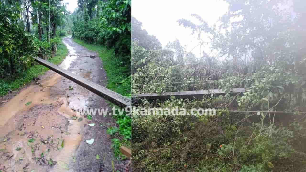 ಕೊಡಗು ಜಿಲ್ಲೆಯಲ್ಲಿ ಭಾರಿ ಮಳೆ: 400ಕ್ಕೂ ಅಧಿಕ ವಿದ್ಯುತ್ ಕಂಬಗಳು ನಾಶ, ಕರೆಂಟ್ ಇಲ್ಲದೆ ಜನ ಪರದಾಟ