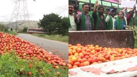 ಕೆಂಪು ಸುಂದರಿಗೆ ಕಡಿಮೆಯಾದ ಡಿಮ್ಯಾಂಡ್​: ಕೋಲಾರ ರೈತರಿಗೆ ಸಂಕಷ್ಟ