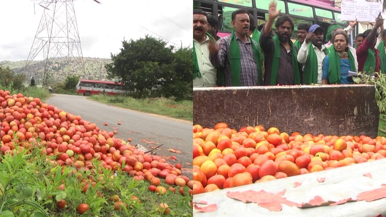 ರಾಜ್ಯದಲ್ಲಿ ಕೆಂಪು ಸುಂದರಿಗೆ ಕಡಿಮೆಯಾದ ಡಿಮ್ಯಾಂಡ್: ಕೋಲಾರ ರೈತರಿಗೆ ಸಂಕಷ್ಟ