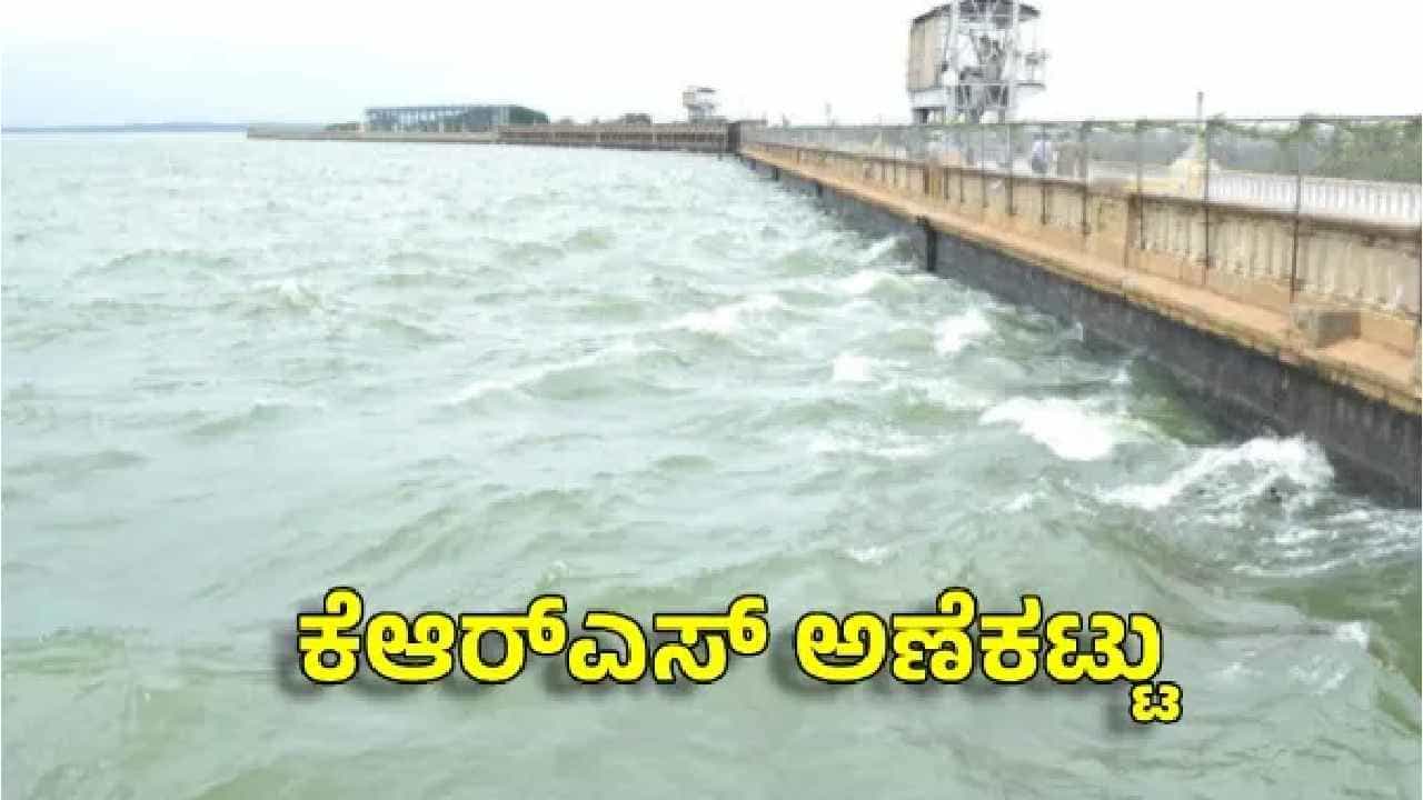 ನಾಲ್ಕೇ ದಿನದಲ್ಲಿ ಕೆಆರ್ಎಸ್ಗೆ ಹರಿದುಬಂತು 11 ಅಡಿ ನೀರು: ಹಲವು ವರ್ಷಗಳ ಬಳಿಕ ಮೇ ತಿಂಗಳಲ್ಲೇ 100 ಅಡಿ ಭರ್ತಿ ನಾಲ್ಕೇ ದಿನದಲ್ಲಿ ಕೆಆರ್ಎಸ್ಗೆ ಹರಿದುಬಂತು 11 ಅಡಿ ನೀರು: ಹಲವು ವರ್ಷಗಳ ಬಳಿಕ ಮೇ ತಿಂಗಳಲ್ಲೇ 100 ಅಡಿ ಭರ್ತಿ