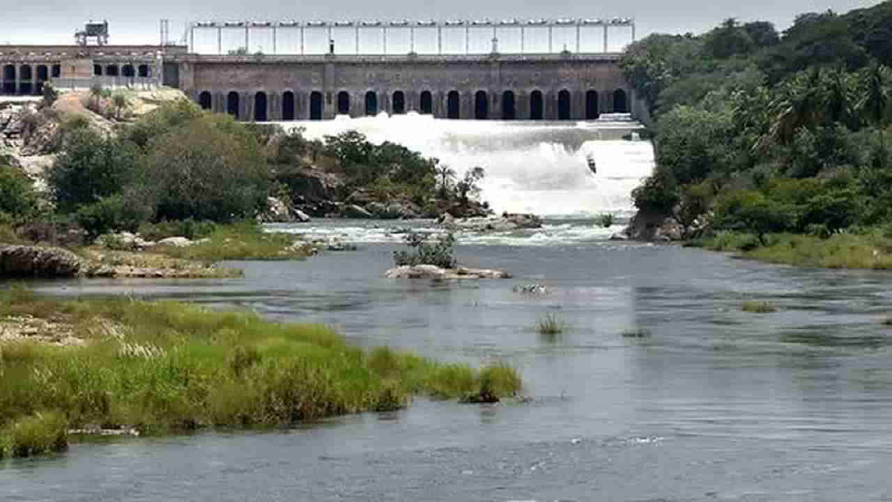 ರೈತರಿಗೆ ಗುಡ್ನ್ಯೂಸ್: ಭಾರೀ ಮಳೆಯಿಂದಾಗಿ KRS ಒಳಹರಿವು ಹೆಚ್ಚಳ, ಡ್ಯಾಂನಲ್ಲಿ ಈಗ ನೀರು ಎಷ್ಟಿದೆ?