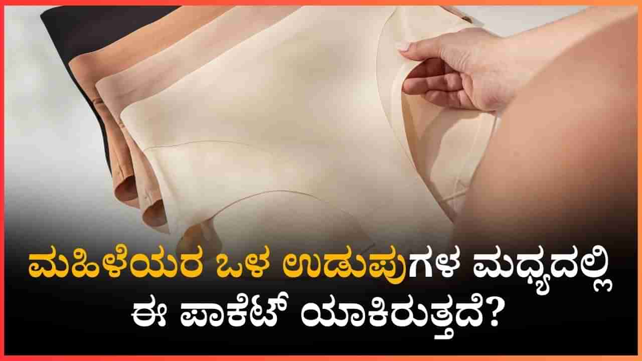 ಮಹಿಳೆಯರೇ ನಿಮ್ಮ ಒಳ ಉಡುಪುಗಳ ಮಧ್ಯದಲ್ಲಿ ಈ ಪಾಕೆಟ್ ಯಾಕಿರುತ್ತದೆ? ಇಂತಹ ಒಳ ಉಡುಪು ಖರೀದಿಸಿ