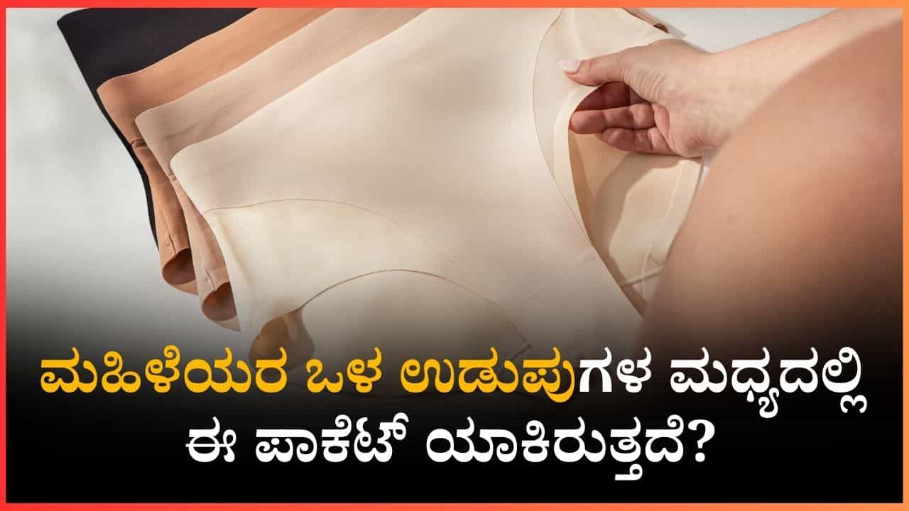 ಮಹಿಳೆಯರೇ ನಿಮ್ಮ ಒಳ ಉಡುಪುಗಳ ಮಧ್ಯದಲ್ಲಿ ಈ ಪಾಕೆಟ್ ಯಾಕಿರುತ್ತದೆ? ಇಂತಹ ಒಳ ಉಡುಪು ಖರೀದಿಸಿ