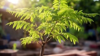 ಪಾಕಿಸ್ತಾನದಲ್ಲಿ ಮುಸ್ಲಿಮರಿಗಿಂತ ಹಿಂದೂಗಳೇ ಹೆಚ್ಚು ವಾಸವಾಗಿರುವ ಜಿಲ್ಲೆ ಯಾವುದು ಗೊತ್ತಾ?