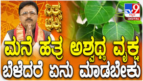 Daily Devotional: ಮನೆ ಹತ್ತಿರ ಅಶ್ವಥ್ಥ ವೃಕ್ಷ ಬೆಳೆದರೆ ಏನು ಮಾಡಬೇಕು? Daily Devotional: ಮನೆ ಹತ್ತಿರ ಅಶ್ವಥ್ಥ ವೃಕ್ಷ ಬೆಳೆದರೆ ಏನು ಮಾಡಬೇಕು?