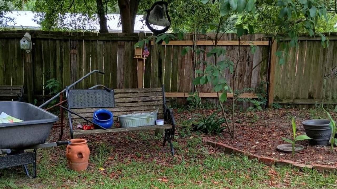 Optical Illusion: ಕಣ್ಣಿಗೊಂದು ಸವಾಲ್;‌ ಜಸ್ಟ್ 9 ಸೆಕೆಂಡುಗಳಲ್ಲಿ ಈ ಚಿತ್ರದಲ್ಲಿ ಅಡಗಿರುವ ಬೆಕ್ಕನ್ನು ಹುಡುಕಿ ನೋಡೋಣ