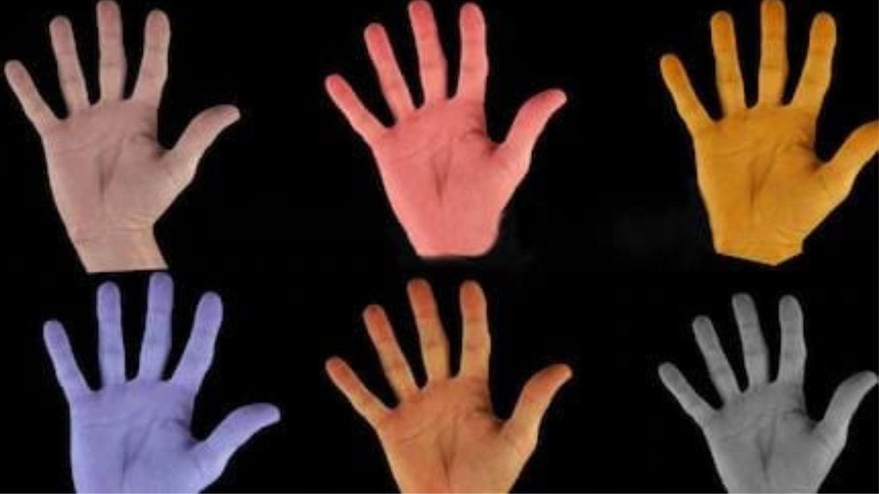 Personality Test : ನಿಮ್ಮ ಅಂಗೈ ಬಣ್ಣ ಕೆಂಪಾಗಿದ್ದರೆ ನಿಮ್ಮ ವ್ಯಕ್ತಿತ್ವ ಹೀಗಿರುತ್ತೆ