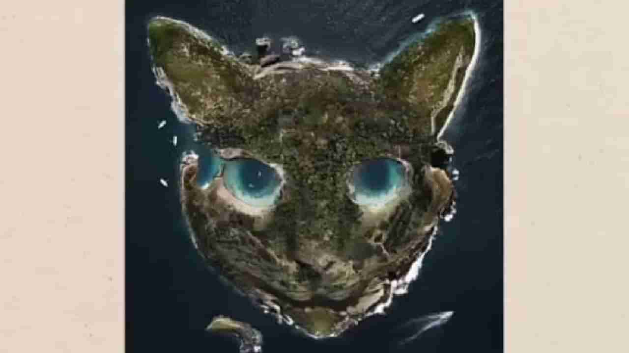 Personality Test: ದ್ವೀಪ, ಬೆಕ್ಕಿನ ಮುಖ; ಈ ಚಿತ್ರ ನೋಡಿ ನಿಮ್ಮ ವ್ಯಕ್ತಿತ್ವ ಎಂತಹದ್ದು ತಿಳಿಯಿರಿ