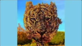 National Anti-Terrorism Day 2025: ಭಯೋತ್ಪಾದನಾ ವಿರೋಧಿ ದಿನವನ್ನು ಆಚರಿಸುವುದ ಹಿಂದಿನ ಕಾರಣವೇನು?