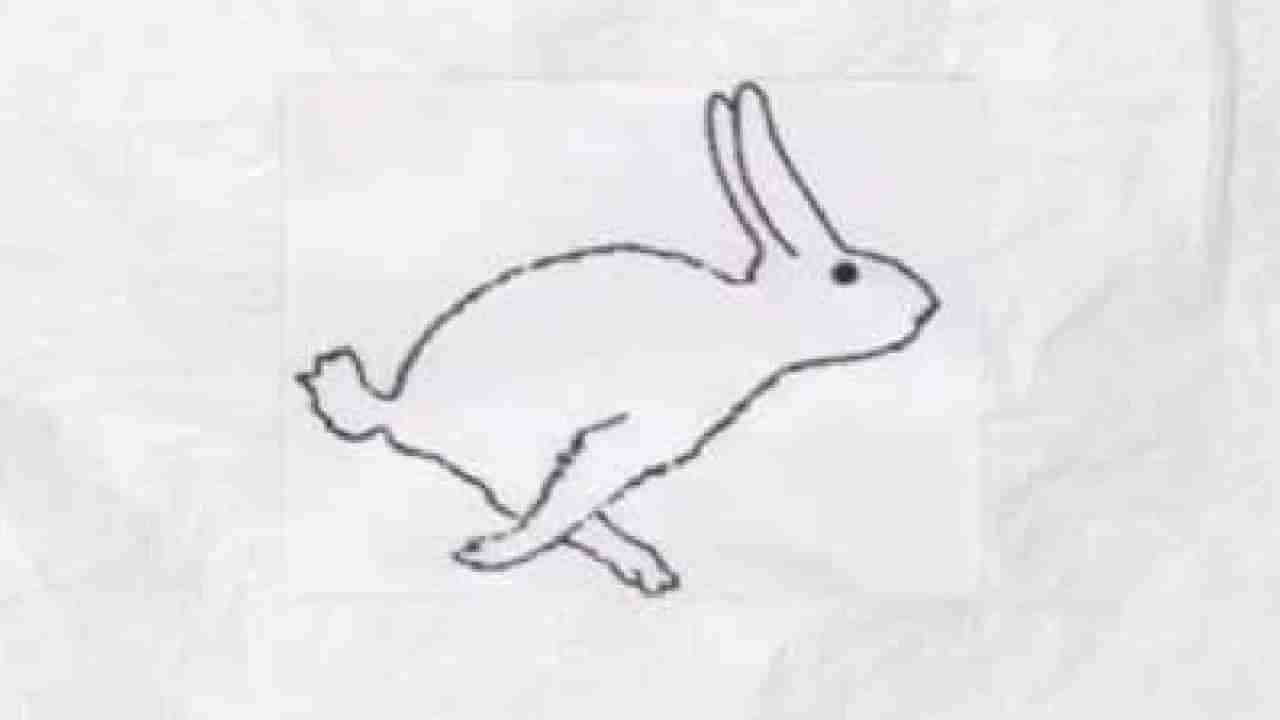 Personality Test: ಮೊಲ, ಬಾತುಕೋಳಿ; ಈ ಚಿತ್ರವನ್ನು ಸೂಕ್ಷವಾಗಿ ಗಮನಿಸಿ, ನೀವು ಭಾವನಾತ್ಮಕ ಅಥವಾ ತಾರ್ಕಿಕ ಬುದ್ಧಿವಂತಿಕೆಯ ವ್ಯಕ್ತಿಯೇ ತಿಳಿಯಿರಿ