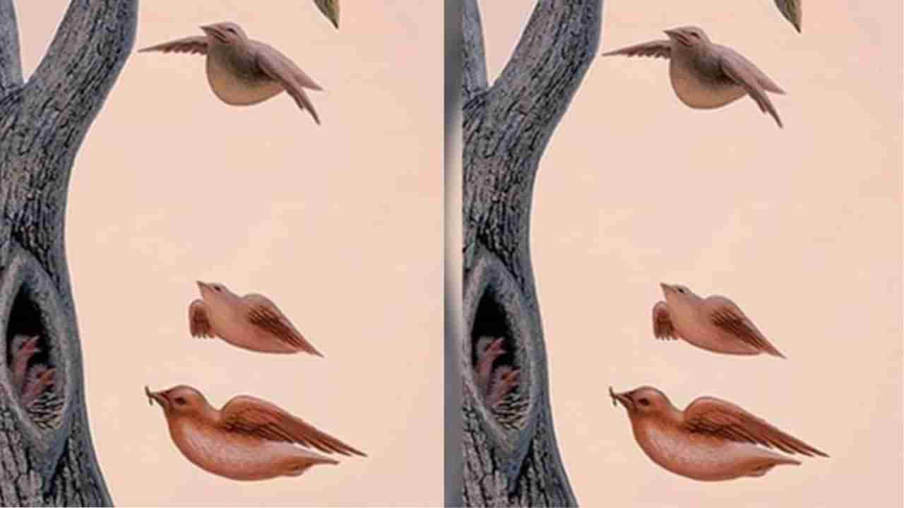 Personality Test : ಈ ಚಿತ್ರದಲ್ಲಿ ನೀವು ಮೊದಲು ಕಂಡಿದ್ದು ಮಹಿಳೆಯ ಮುಖವೇ? ಹಾಗಾದ್ರೆ ನಿಮ್ಮ ವ್ಯಕ್ತಿತ್ವ ಹೀಗಿರುತ್ತೆ