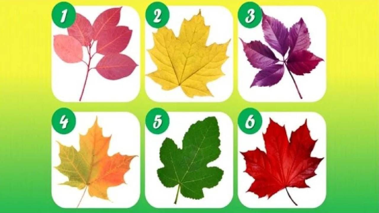 Personality Test: ಈ ಚಿತ್ರದಲ್ಲಿರುವ ಒಂದು ಎಲೆಯನ್ನು ಆಯ್ಕೆ ಮಾಡಿ ನಿಮ್ಮ ವ್ಯಕ್ತಿತ್ವ ಹೇಗಿದೆ ಪರೀಕ್ಷಿಸಿ