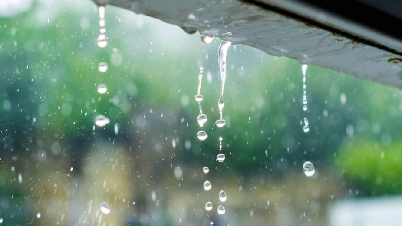 Karnataka Weather: ಬೆಂಗಳೂರು ಸೇರಿ ಕರ್ನಾಟಕದ ಹಲವೆಡೆ ಇಂದು ಮಳೆ, ಕಲಬುರಗಿಯಲ್ಲಿ ಹೆಚ್ಚು ಉಷ್ಣಾಂಶ Karnataka Weather: ಬೆಂಗಳೂರು ಸೇರಿ ಕರ್ನಾಟಕದ ಹಲವೆಡೆ ಇಂದು ಮಳೆ, ಕಲಬುರಗಿಯಲ್ಲಿ ಹೆಚ್ಚು ಉಷ್ಣಾಂಶ