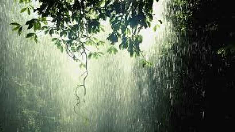 Karnataka Rains: ಬೆಂಗಳೂರಲ್ಲಿ ಇಂದು ಮಳೆ ಜೋರು, ಕರ್ನಾಟಕದ 4 ಜಿಲ್ಲೆಗಳಿಗೆ ಯೆಲ್ಲೋ ಅಲರ್ಟ್