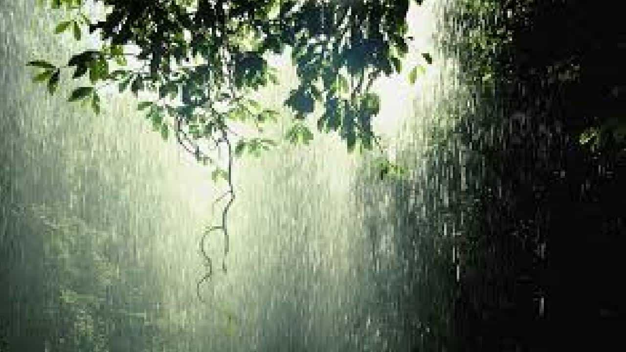 Karnataka Rains: ಬೆಂಗಳೂರಲ್ಲಿ ಇಂದು ಮಳೆ ಜೋರು, ಕರ್ನಾಟಕದ 4 ಜಿಲ್ಲೆಗಳಿಗೆ ಯೆಲ್ಲೋ ಅಲರ್ಟ್​