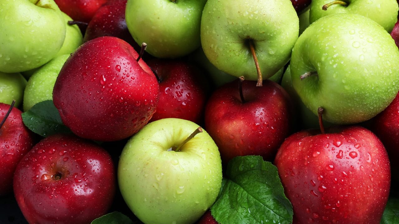 Red or Green Apple: ಕೆಂಪು ಅಥವಾ ಹಸಿರು ಸೇಬು ಕರುಳಿನ ಆರೋಗ್ಯಕ್ಕೆ ಯಾವುದು ಒಳ್ಳೆಯದು? Red or Green Apple: ಕೆಂಪು ಅಥವಾ ಹಸಿರು ಸೇಬು ಕರುಳಿನ ಆರೋಗ್ಯಕ್ಕೆ ಯಾವುದು ಒಳ್ಳೆಯದು?