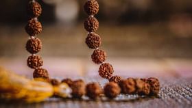 ರುದ್ರಾಕ್ಷಿಯ ಆಧ್ಯಾತ್ಮಿಕ ಪ್ರಯೋಜನ, ಪ್ರಕಾರಗಳು ಮತ್ತು ಧರಿಸುವ ವಿಧಾನ