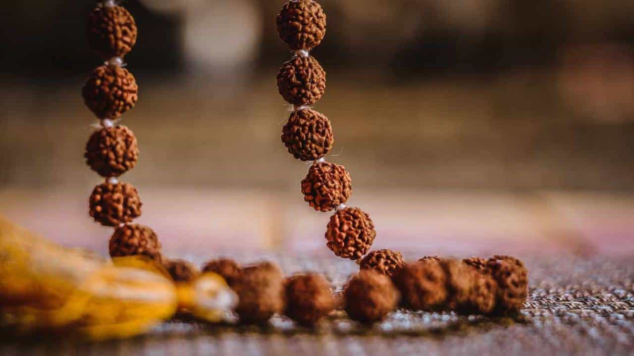 Rudraksha: ರುದ್ರಾಕ್ಷಿಯ ಆಧ್ಯಾತ್ಮಿಕ ಪ್ರಯೋಜನ, ಪ್ರಕಾರಗಳು ಮತ್ತು ಧರಿಸುವ ವಿಧಾನ Rudraksha: ರುದ್ರಾಕ್ಷಿಯ ಆಧ್ಯಾತ್ಮಿಕ ಪ್ರಯೋಜನ, ಪ್ರಕಾರಗಳು ಮತ್ತು ಧರಿಸುವ ವಿಧಾನ