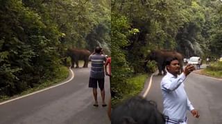 ಮಂಗಳೂರು: ಅಬ್ಬರಿಸುತ್ತಿದೆ ಅರಬ್ಬೀ ಸಮುದ್ರ, ಕಡಲ್ಕೊರೆತ ಭೀತಿಯಲ್ಲಿ ತೀರದ ನಿವಾಸಿಗಳು