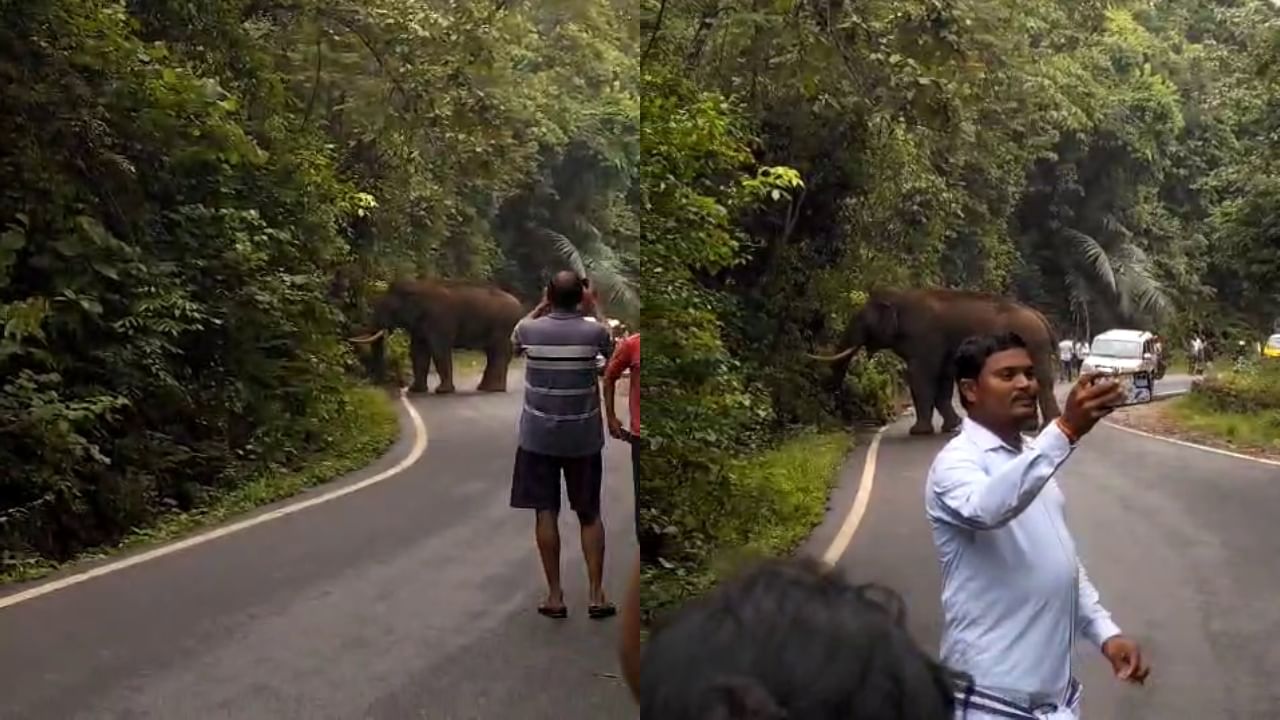 ಚಾರ್ಮಾಡಿ ಘಾಟ್​​​ನಲ್ಲಿ ಕಾಡಾನೆ ಜತೆ ಸೆಲ್ಫೀ ಕ್ಲಿಕ್ಕಿಸಲು ಮುಂದಾದ ಪ್ರಯಾಣಿಕ: ರೊಚ್ಚಿಗೆದ್ದ ಸಲಗದ ವಿಡಿಯೋ ವೈರಲ್