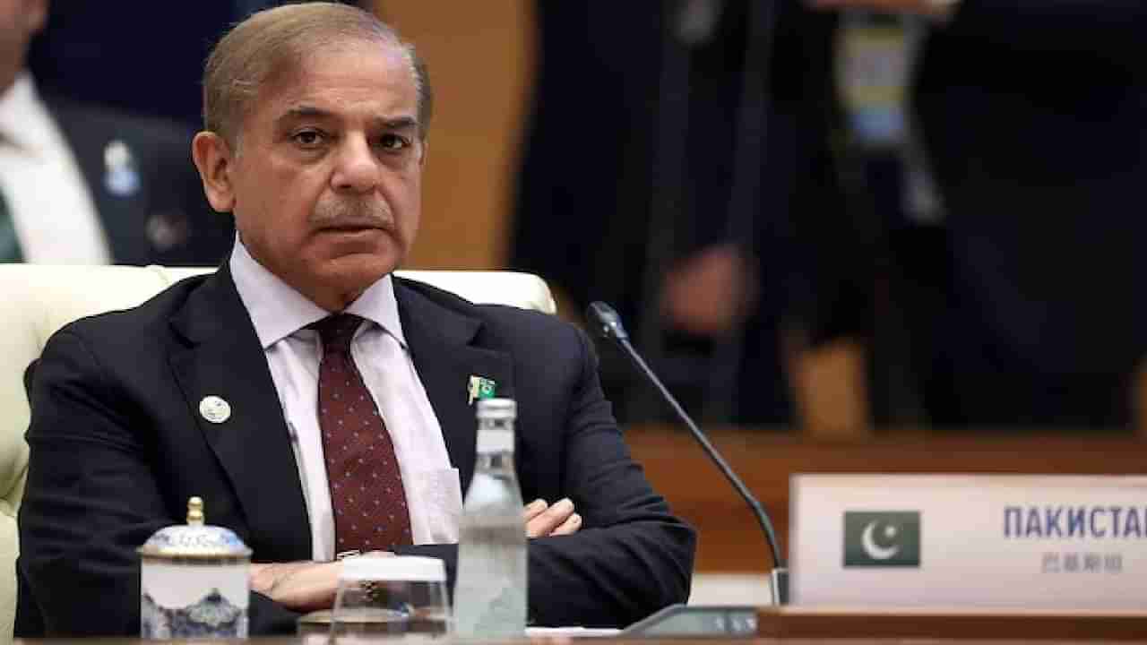 ರಫೇಲ್ನಿಂದ ಹಿಡಿದು ಧಾರ್ಮಿಕ ಸ್ಥಳಗಳ ಮೇಲಿನ ದಾಳಿವರೆಗೆ ಶೆಹಬಾಜ್ ಬಾಯಿಂದ ಬಂದ ಸುಳ್ಳಿನ ಸರಮಾಲೆ